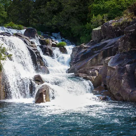 別荘 Casa ムシア